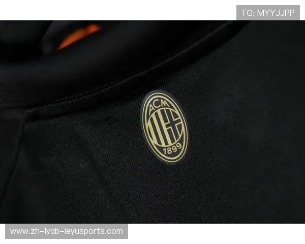 队徽背面的阴影：极端球迷组织地下网络探秘